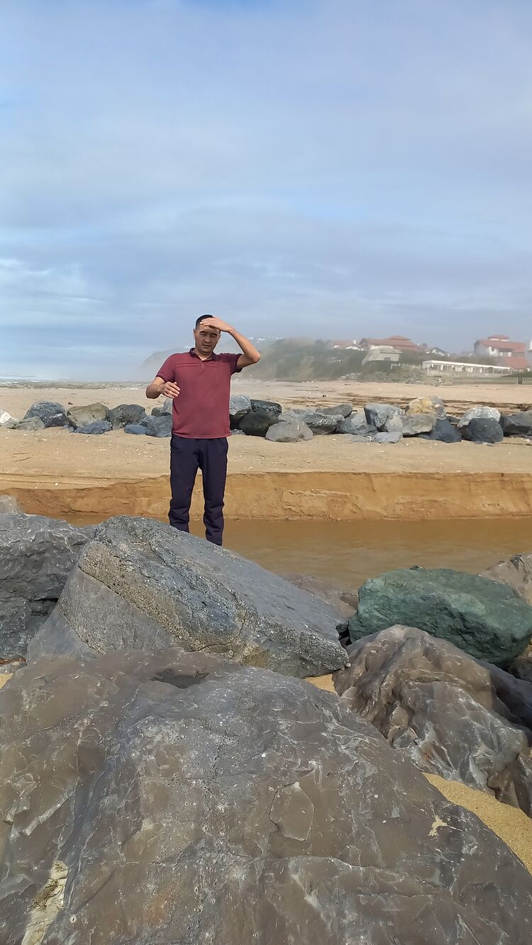  38928501  , 29 ,    