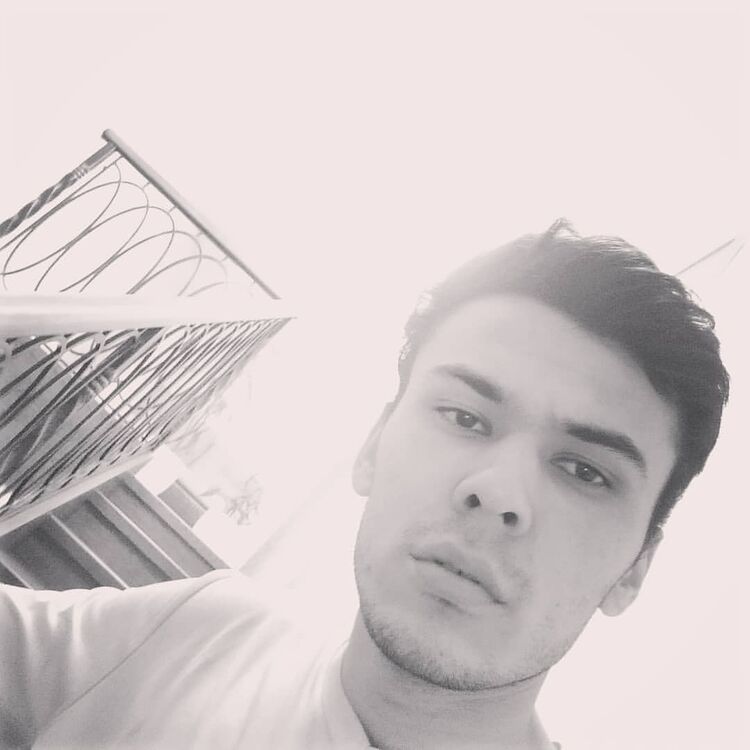 ���������� ������, ���� ������� ���������, 29 ���, ������������ ��� ������, ����� � ���������