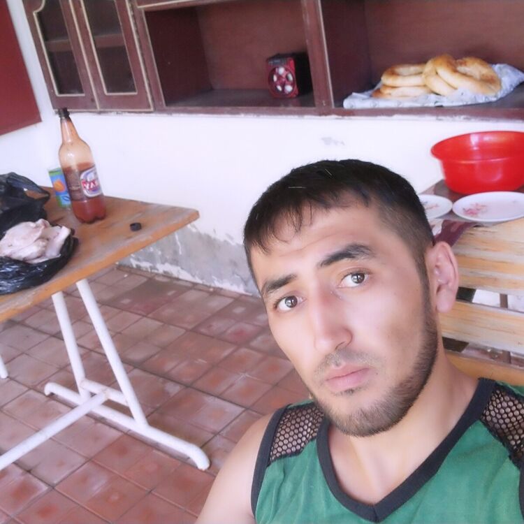  ,   Alisher, 31 ,   ,   , c 