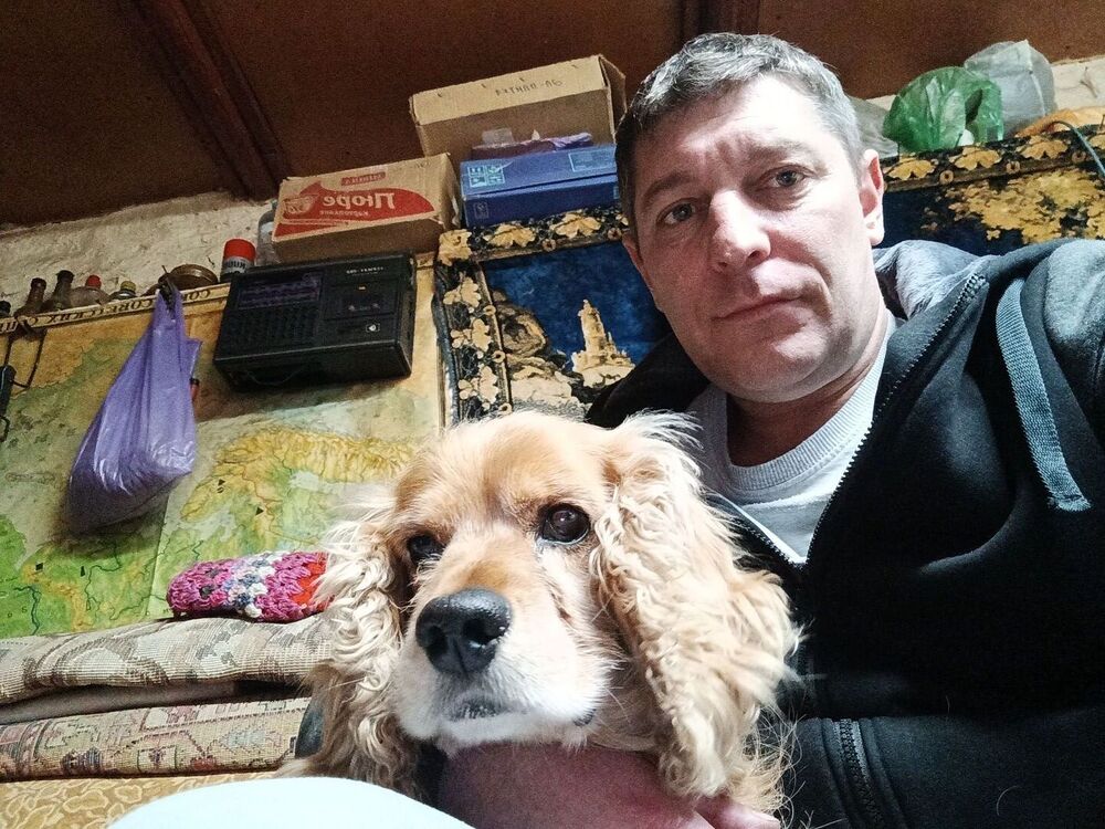 ���� 55193431 ������� ����, 43 ����, ���� ���������� � ����������