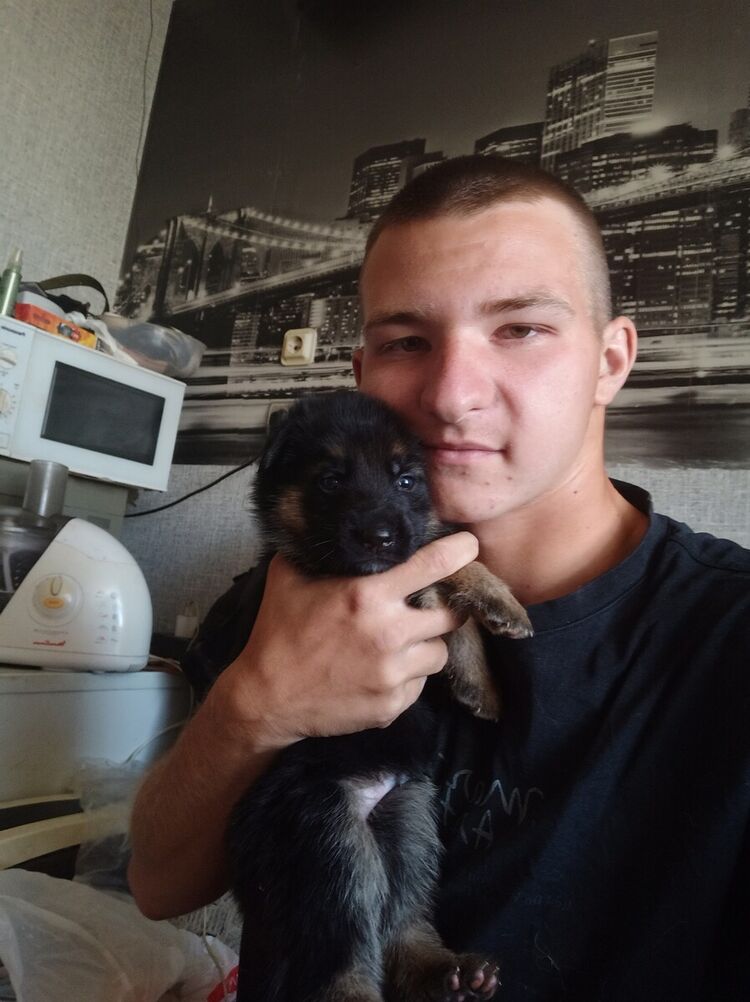 ���� 21512351 ������� �����, 26 ���, ���� ���������� � ���������