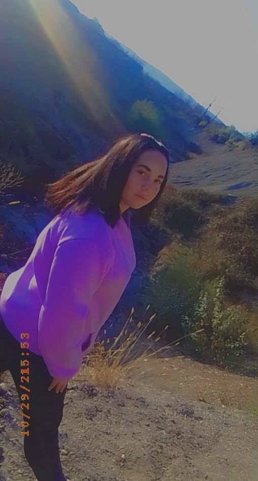 ���� 24411051 ������� �������, 22 ����, ���� ���������� � ����������