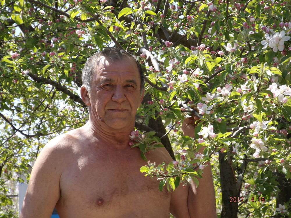  ,   , 74 ,   