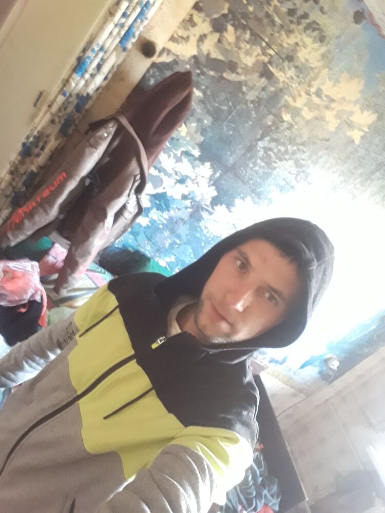  33166501  , 33 ,    