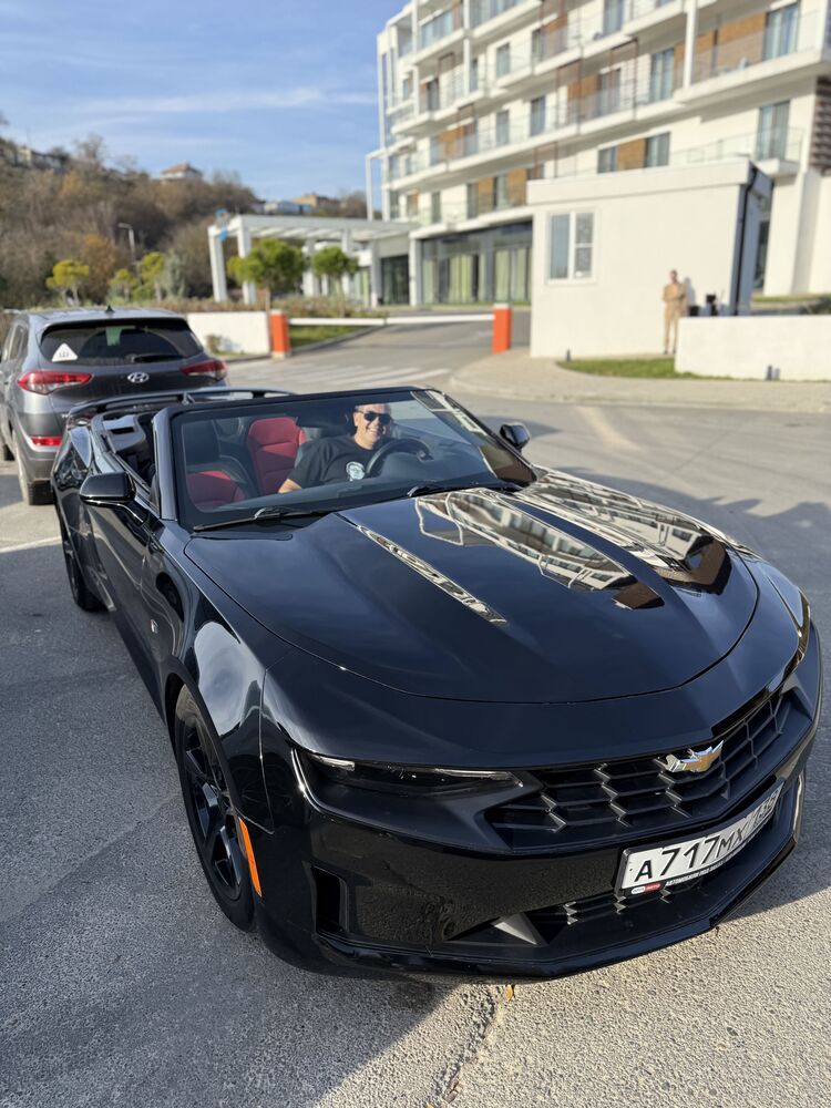 ���������� ������������, ���� ������� �����, 43 ����, ������������ ��� ������, ����� � ���������, c�������� ���������