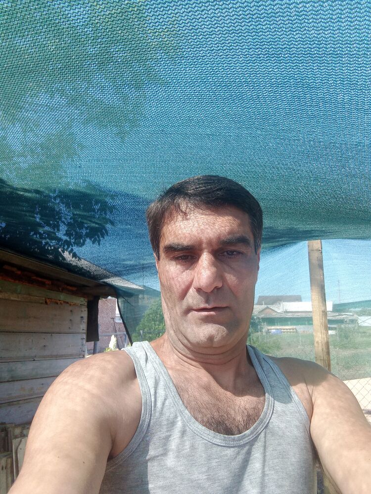 31953721  , 50 ,    -