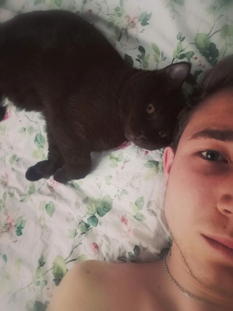 ���� 28909781 ����� ����, 24 ����, ���� ���������� � ����������