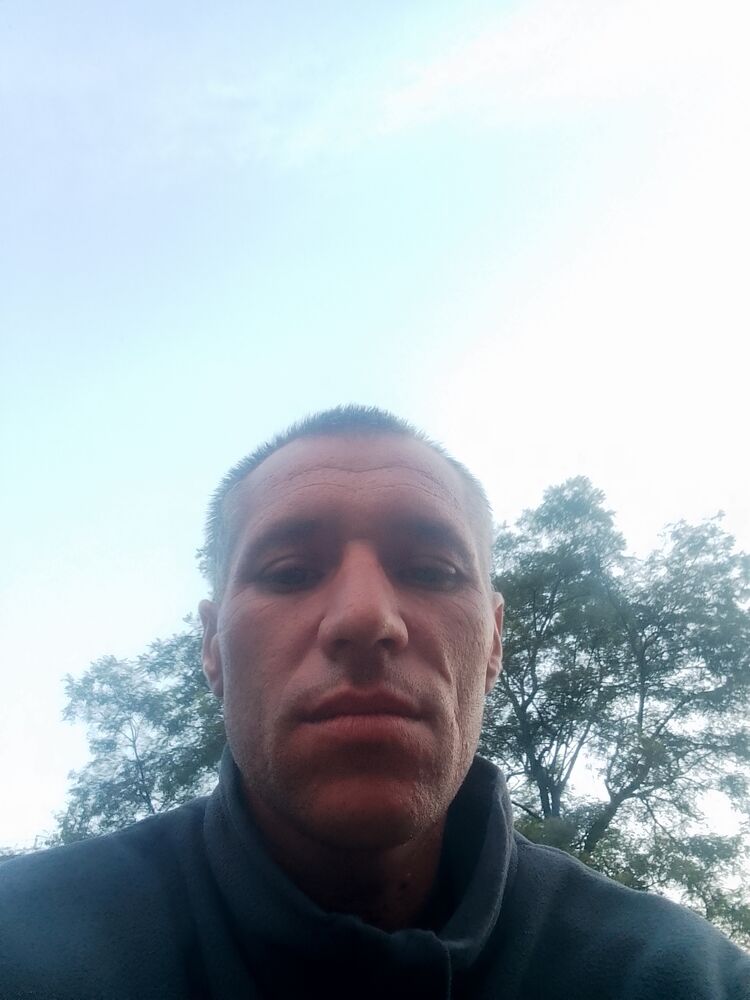  46226641  , 41 ,    