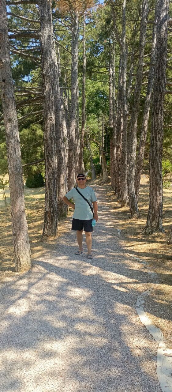 ���������� ���������, ���� ������� ��������, 46 ���, ������������ ��� c�������� ���������, ���������