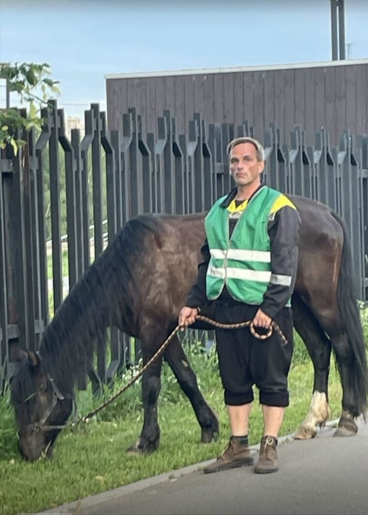 ���� 55870931 ������� ����, 43 ����, ���� ���������� � ������