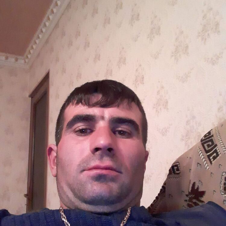  43455641  , 31 ,    