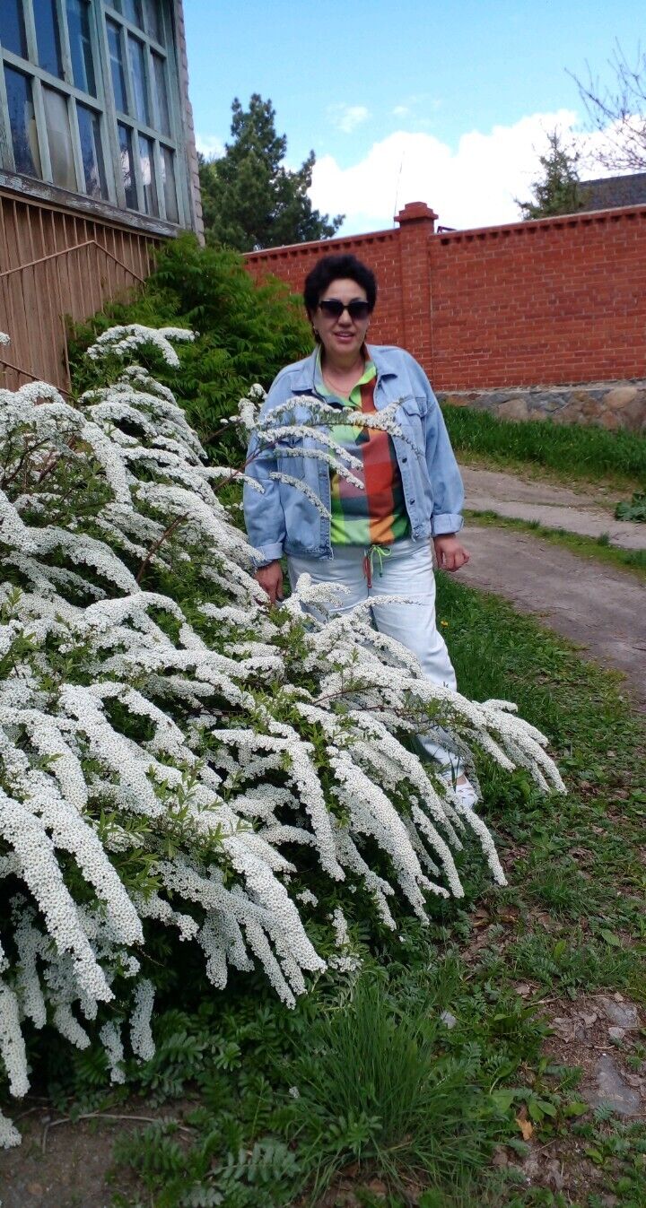 ���������� ����, ���� ������� �������, 62 ����, ������������ ��� ������, ����� � ���������