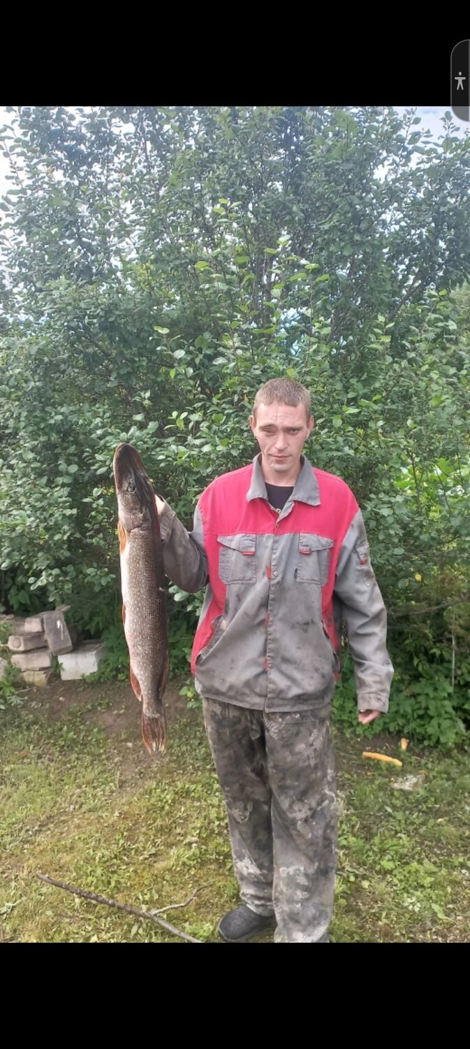 ���� 55400971 ������� ���������, 35 ���, ���� ���������� � �����