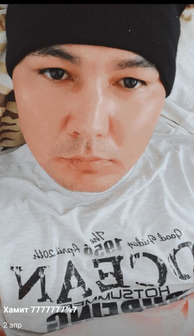  28403081  , 38 ,    