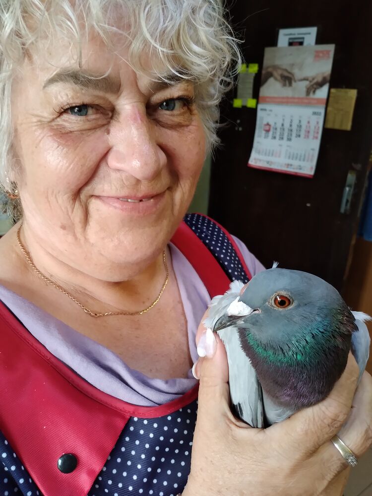  ,   , 64 ,   ,   