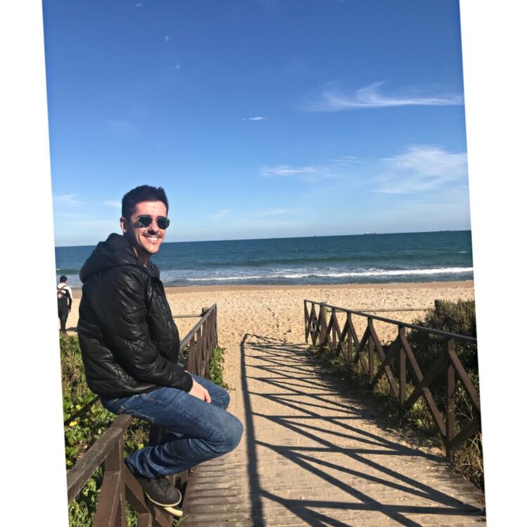  53929031  , 38 ,    -