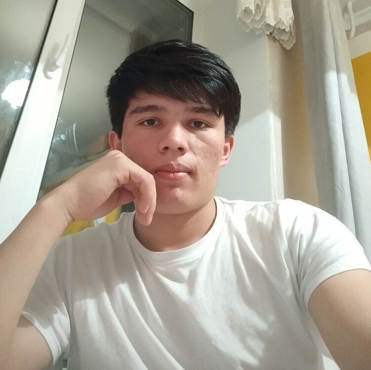  41800381  , 23 ,    -