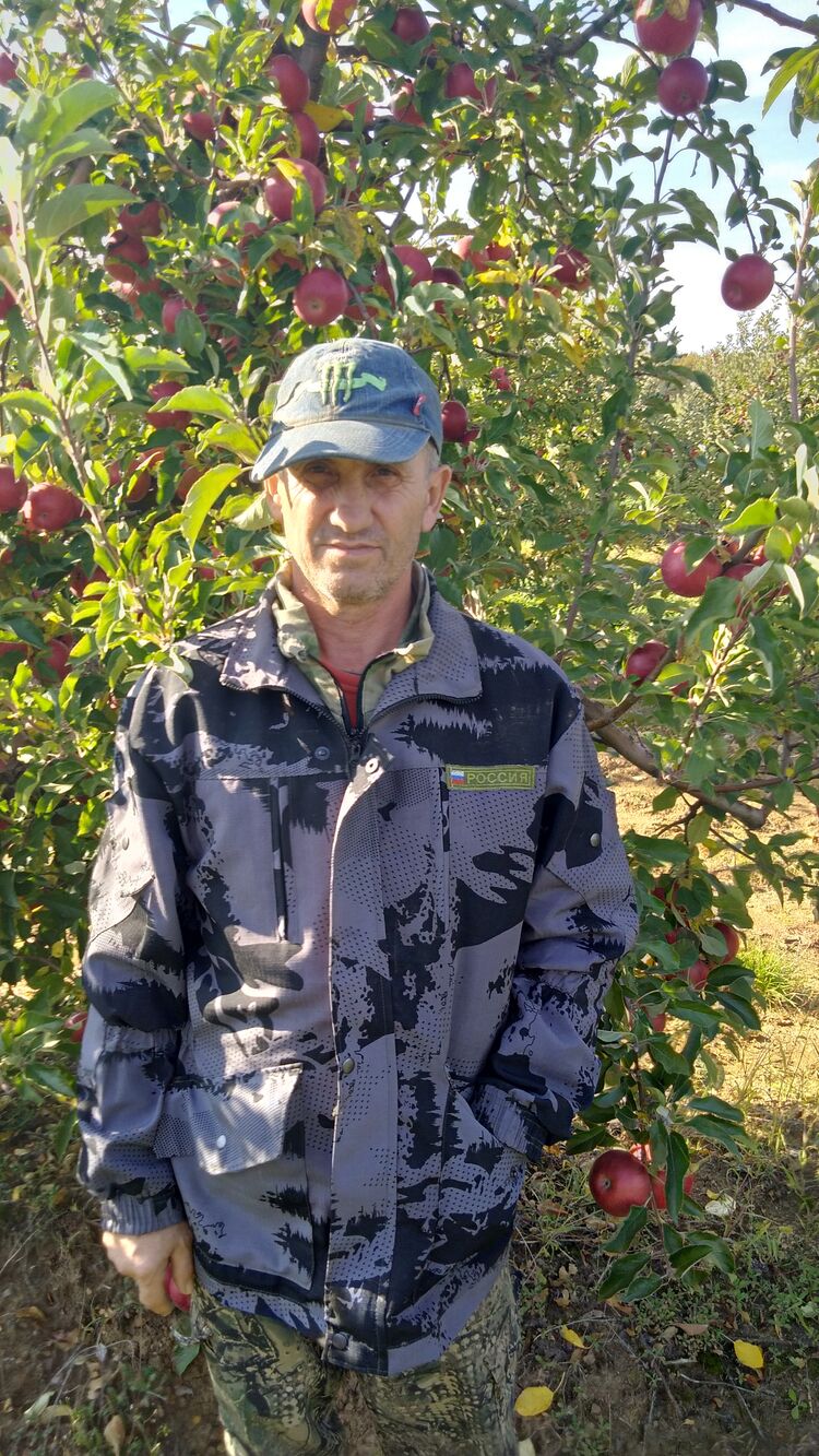 ���������� ����, ���� ������� �����, 48 ���, ������������ ��� ������, ����� � ���������, c�������� ���������, ���������