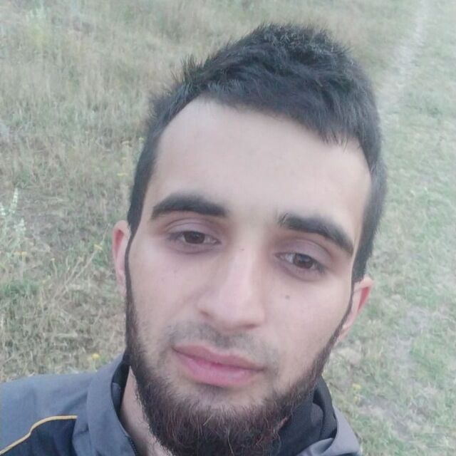  33875971  , 28 ,    