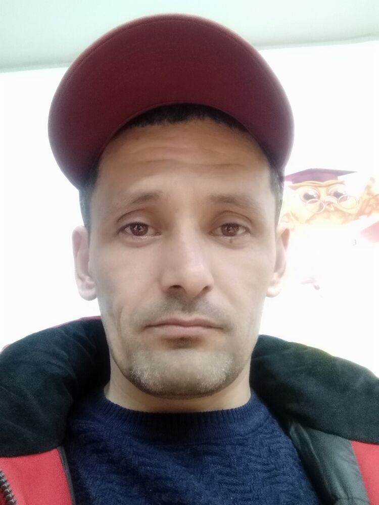  41983581  , 43 ,    