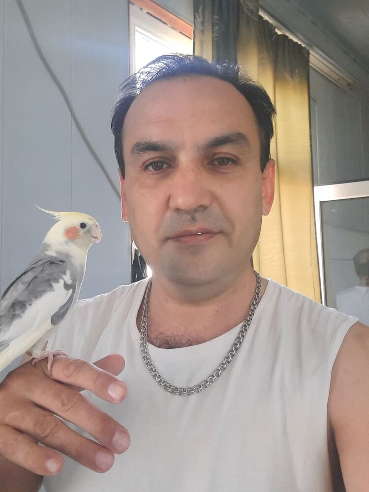  ,   , 46 ,   ,   , 