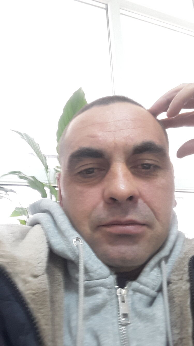  24867651  , 41 ,    