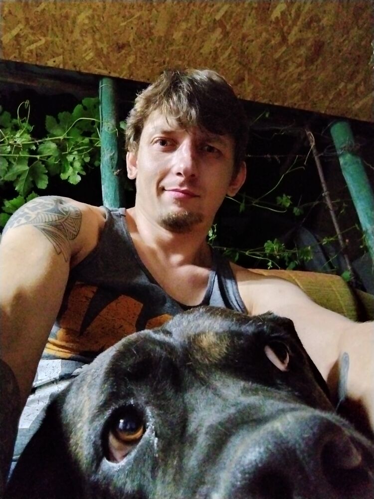 ���������� ��������, ���� ������� ������, 38 ���, ������������ ��� ������, ����� � ���������, c�������� ���������