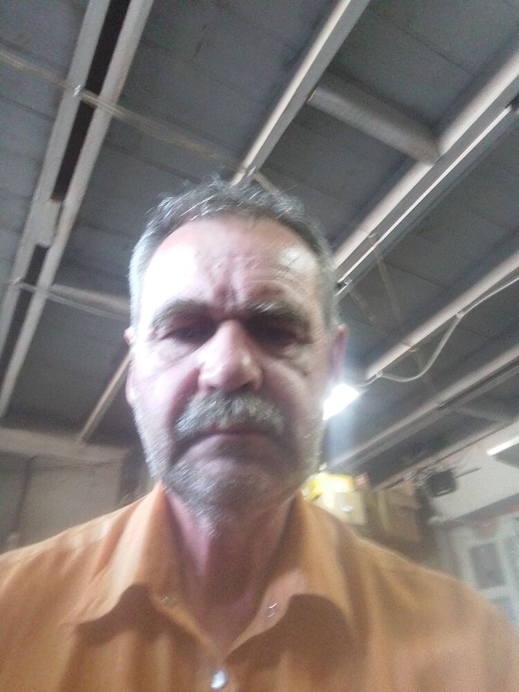  44081761  , 61 ,    