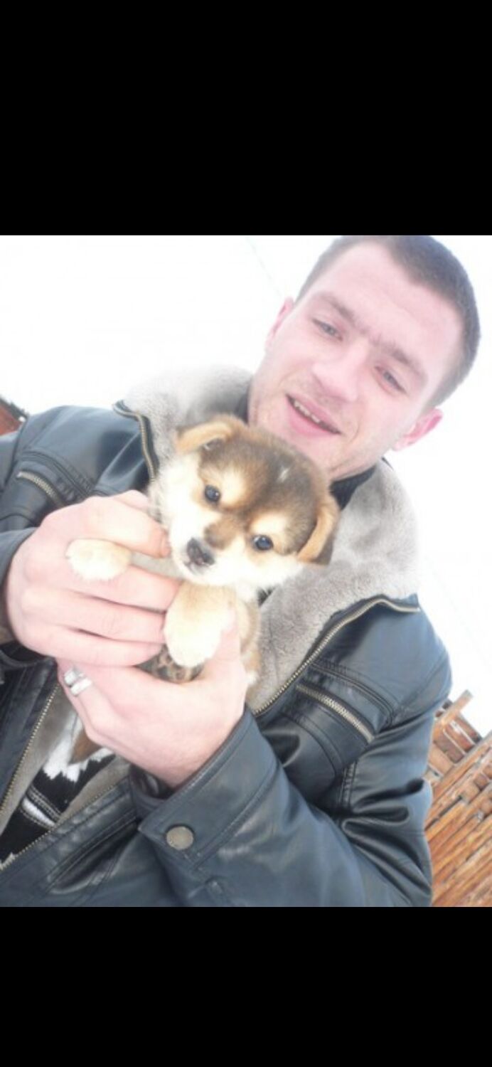 ���� 34167501 ������� ���, 35 ���, ���� ���������� � �������