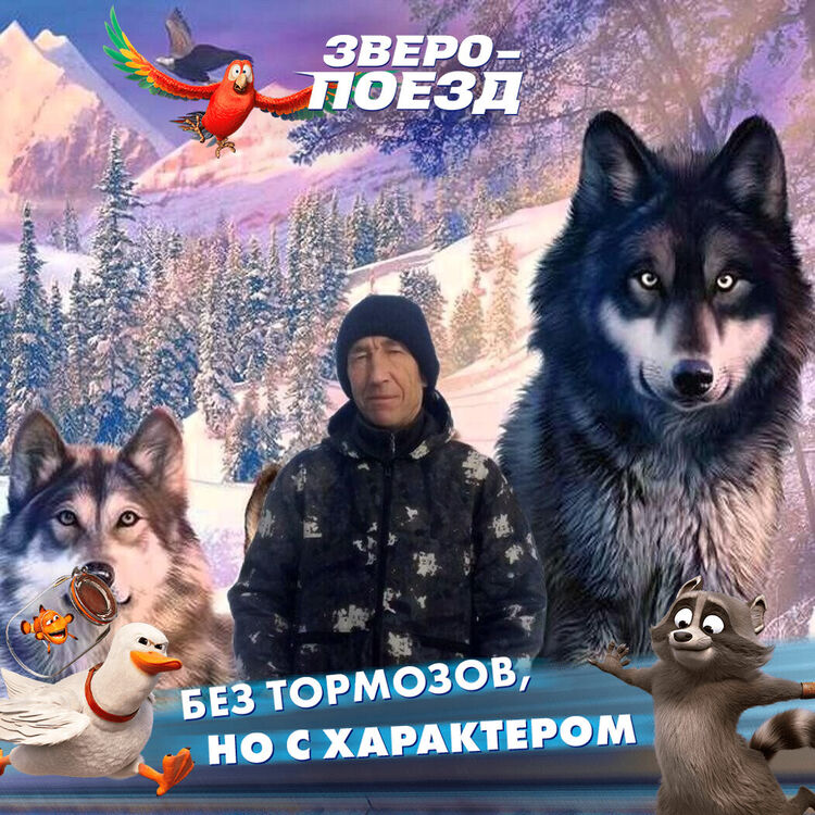  54480531  , 58 ,    -