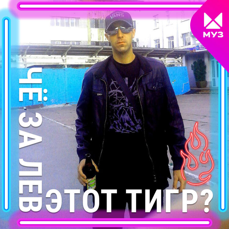 47834201  , 36 ,    