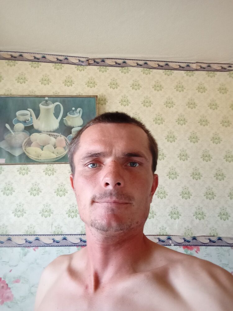 36560611  , 32 ,    
