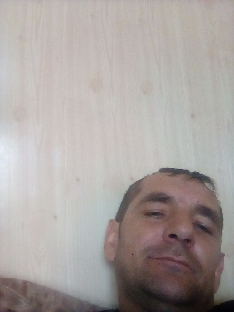  14602151  , 44 ,    