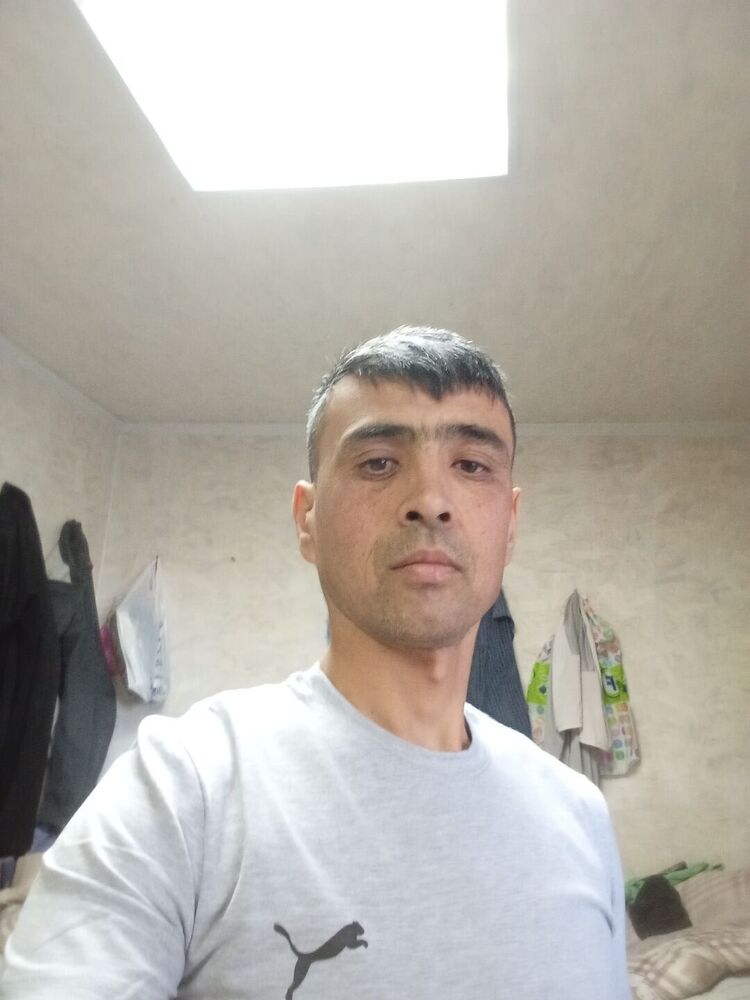  43058771  , 40 ,    