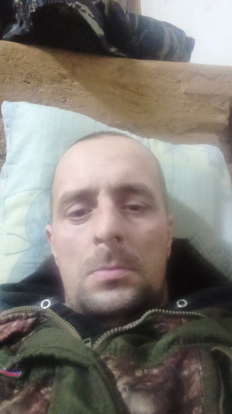  31444271  , 37 ,    