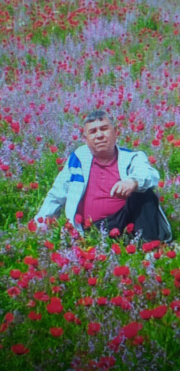  ,   , 66 ,   ,   
