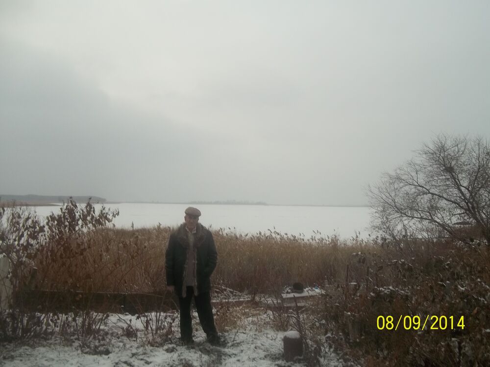  22690171  , 66 ,    
