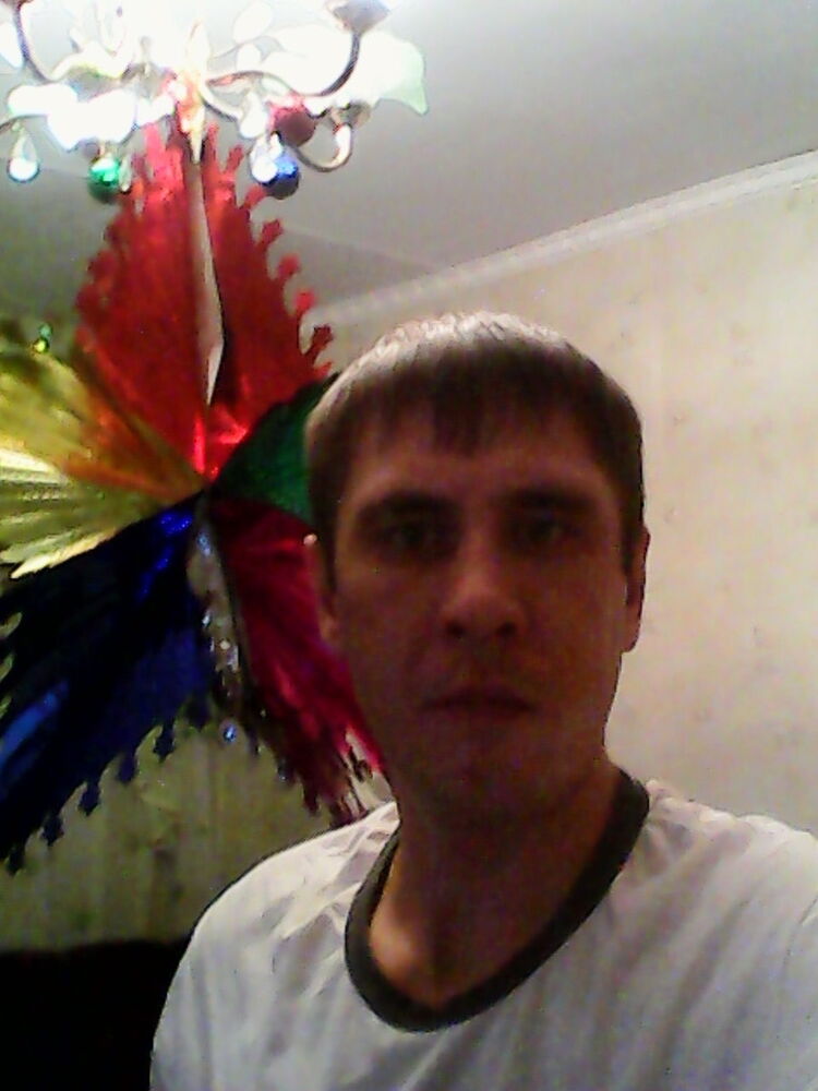 ���� 5483231 ������� ���������, 42 ����, ���� ���������� � ���������