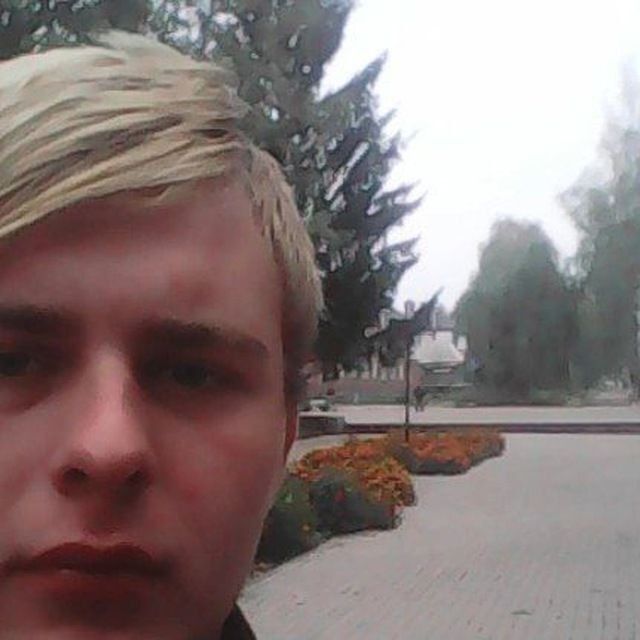  52756691  , 24 ,    