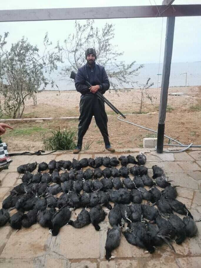 ���������� ����, ���� ������� Raxman, 31 ���, ������������ ��� ������, ����� � ���������