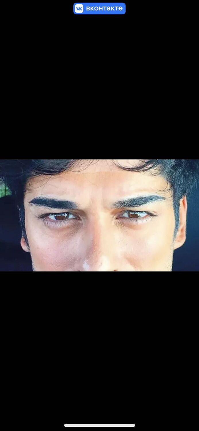 ���� 42079021 ������� �����, 34 ����, ���� ���������� � ������