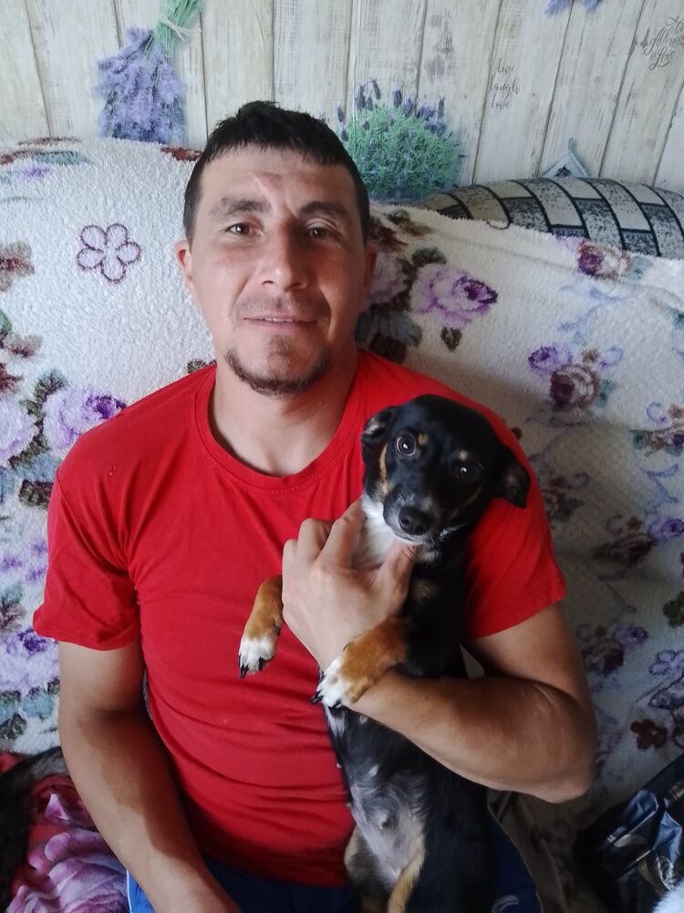 ���� 28783101 ������� �����, 37 ���, ���� ���������� � �����