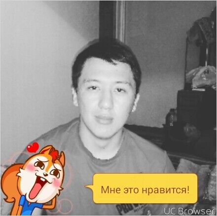 ���� 7363341 ������� ����, 29 ���, ���� ���������� � �������