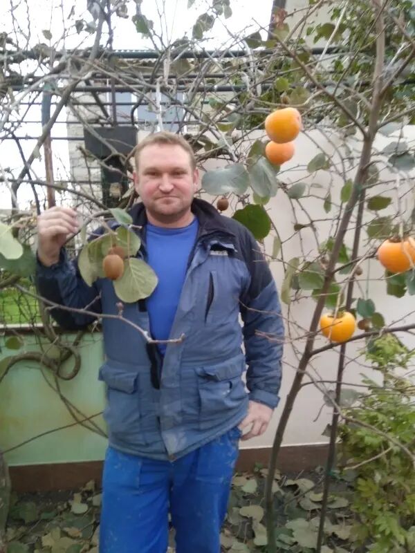 ���������� ���������, ���� ������� ���������, 38 ���, ������������ ��� c�������� ���������