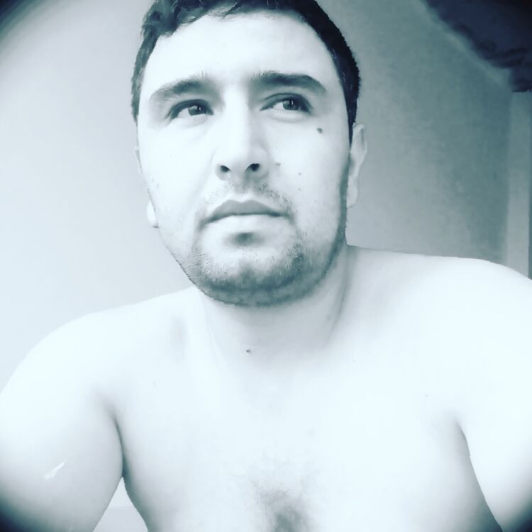  46127121  , 33 ,    