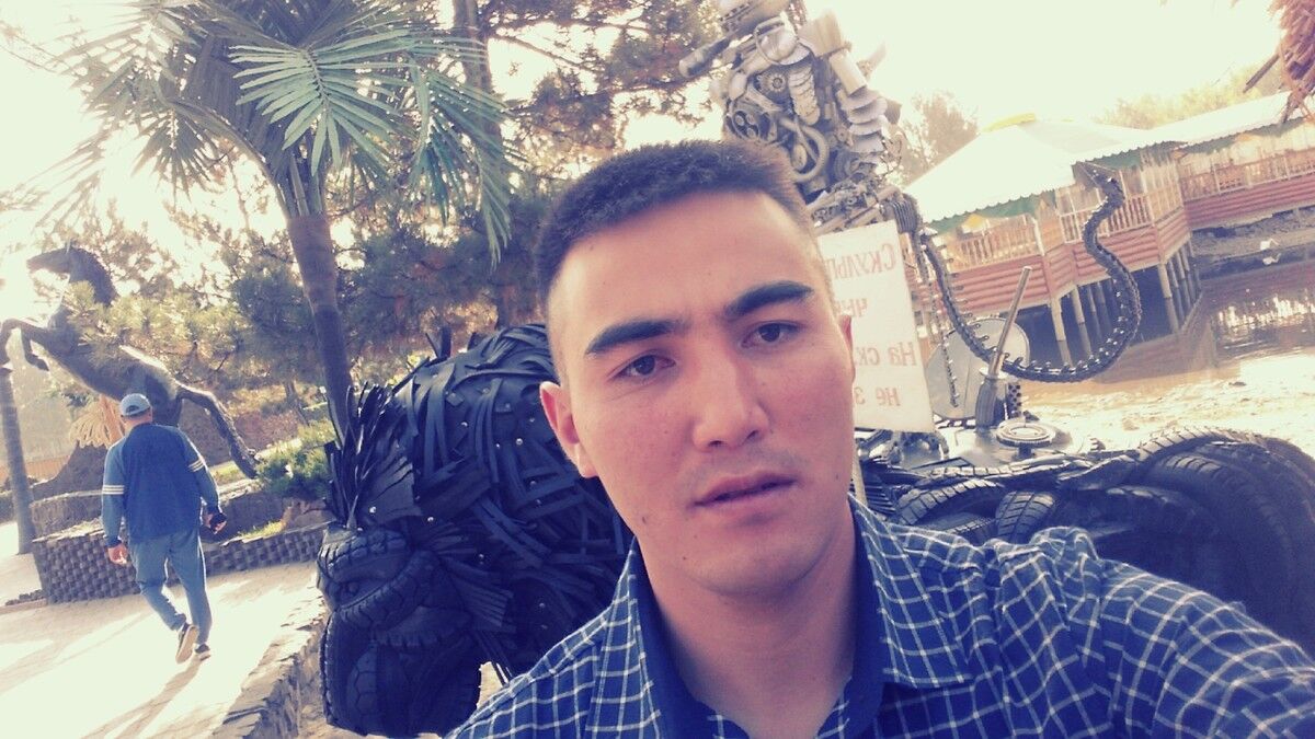  -,   , 33 ,   