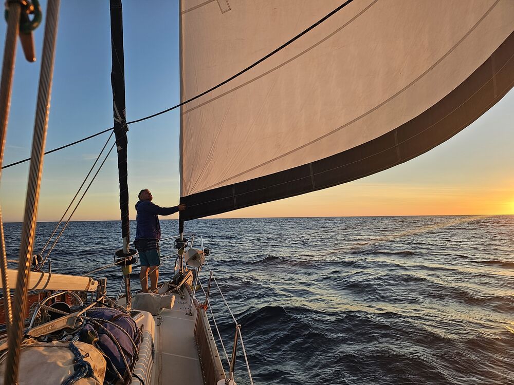 ���� 39968691 ������� ������, 52 ����, ���� ���������� � ������