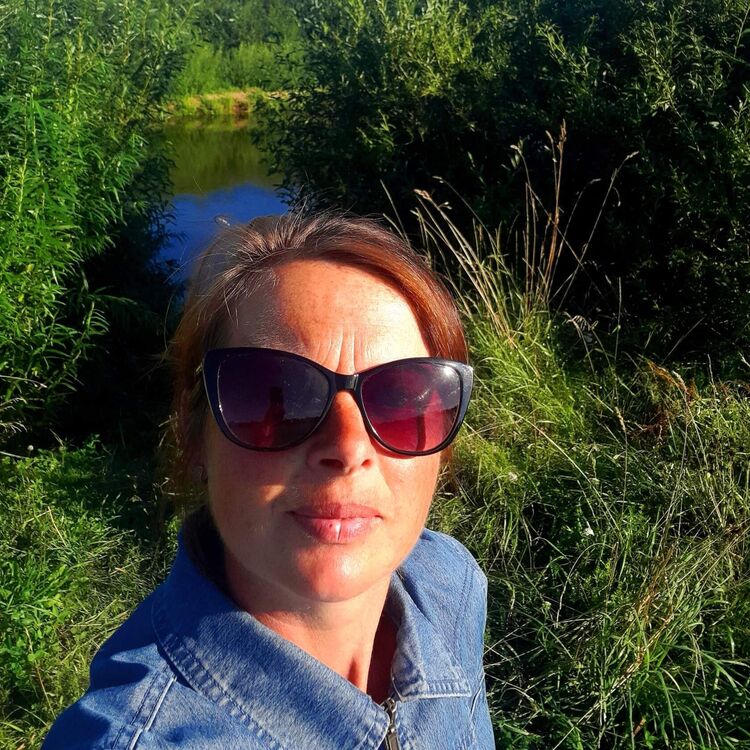 ���� 38608101 ������� ��������, 50 ���, ���� ���������� � ����