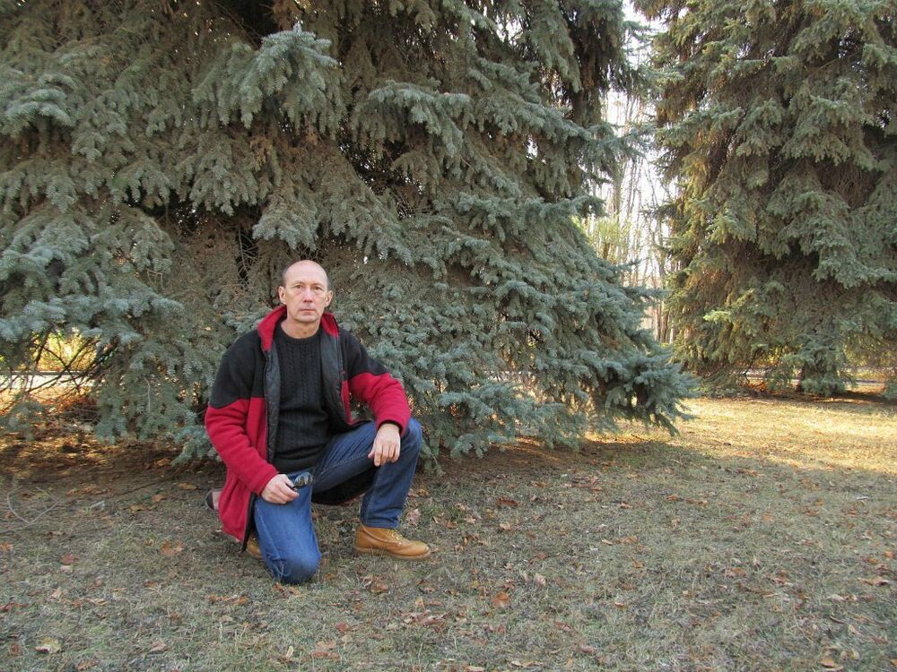 ���� 54787341 ������� ������, 60 ���, ���� ���������� � �����