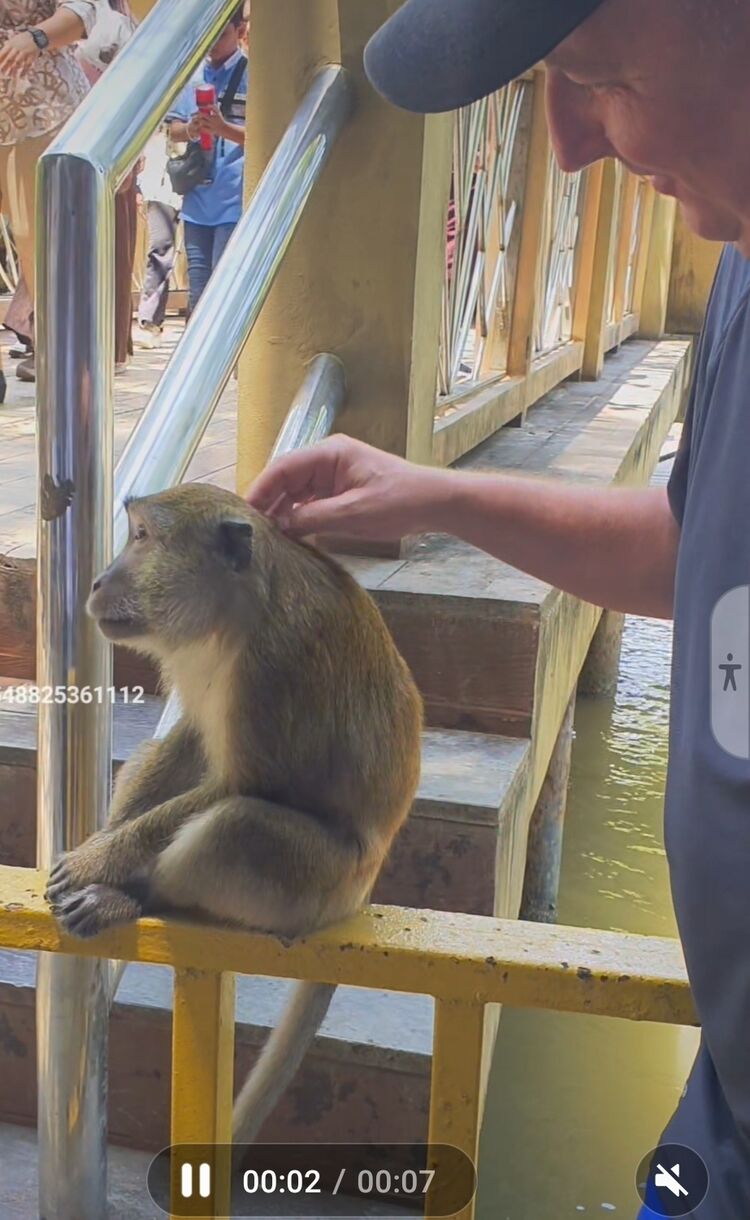 ���������� ������, ���� ������� ������, 52 ����, ������������ ��� ������, ����� � ���������, c�������� ���������